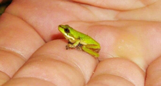 Episode: Earth Matters