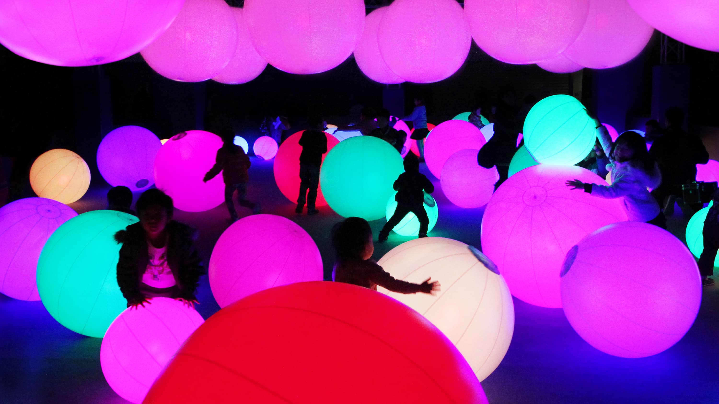 teamLab at Powerhouse Museum