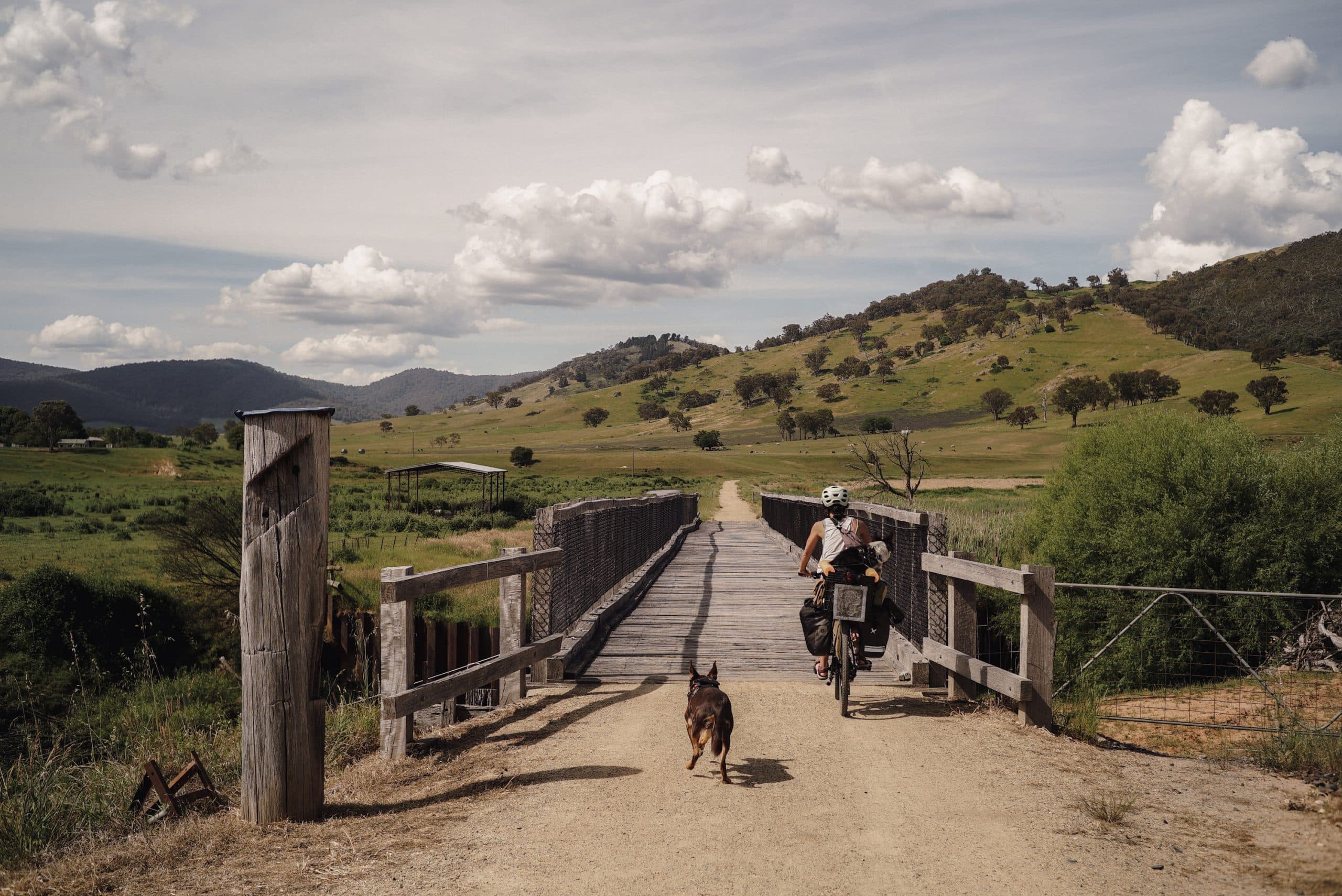 High Country Rail Trail Victoria. Bikepacking the High Country Rail Trail with dogs. Dog friendly rail trails.