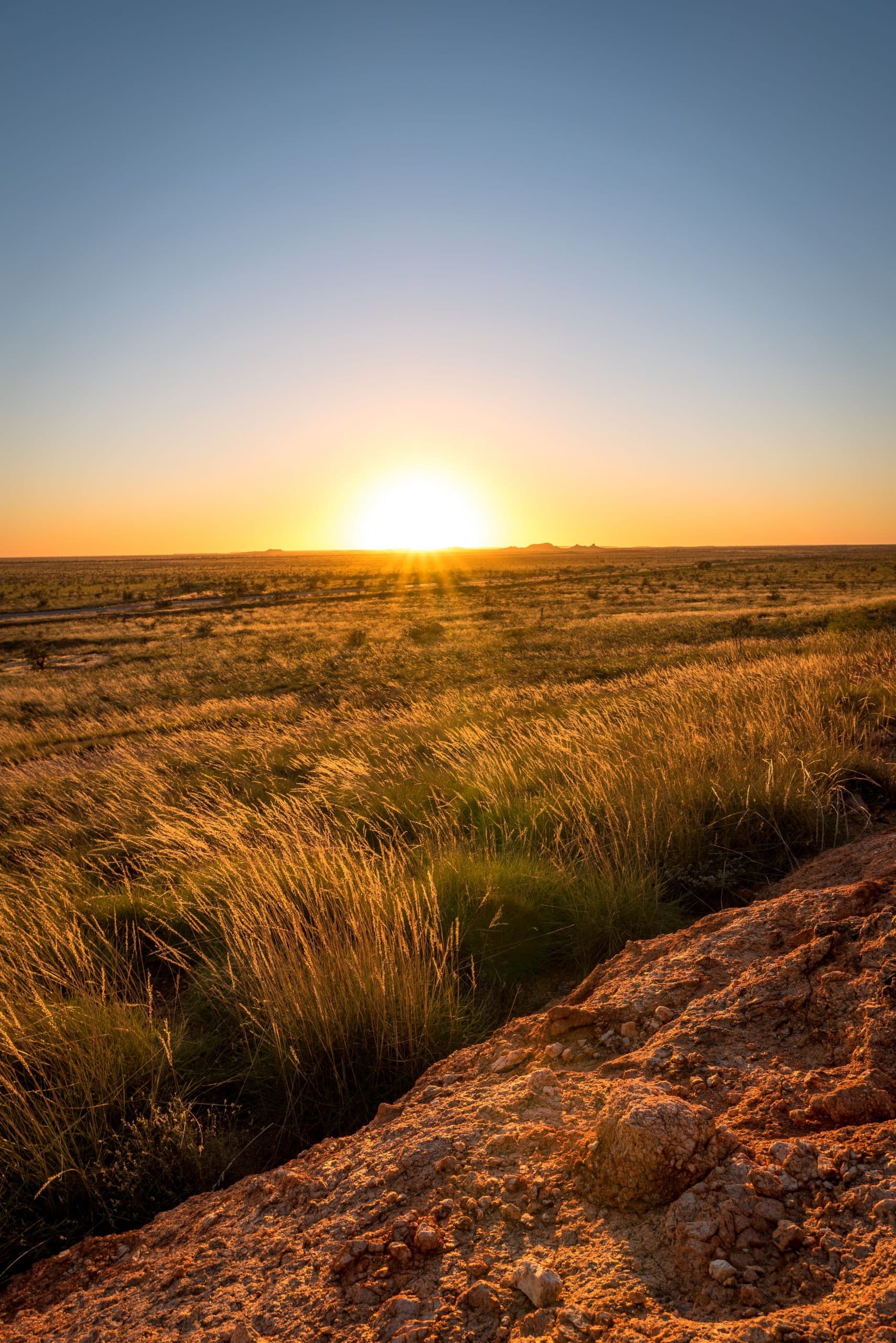 Sunrise just on the horizon over arid grassland in the Pilbara region of Western Australia. Rocky outcrops in the far distance. Grasses and a rocky rise close up at the bottom.