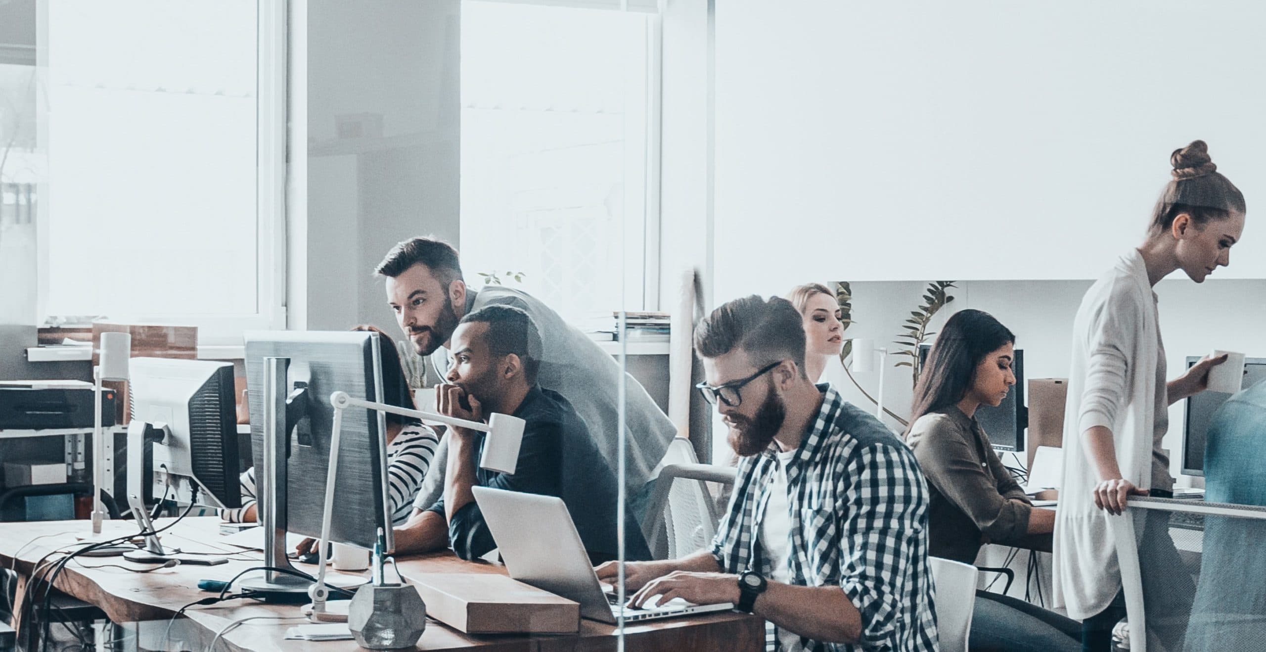 Group of IT people working on a variety of computers, laptops and screens. They sit at a row of desks in an open plan space with wooden floors and large windows.