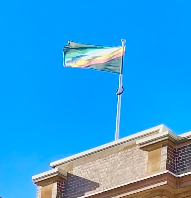 Disability Pride Flag Raising – Inclusion Festival